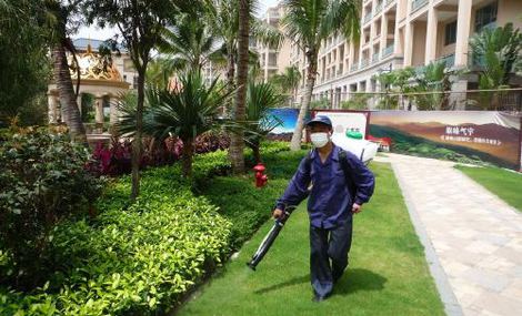 白蟻生存環境需要具備哪些條件