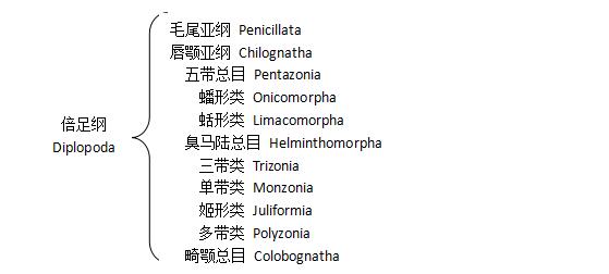 馬陸目錄